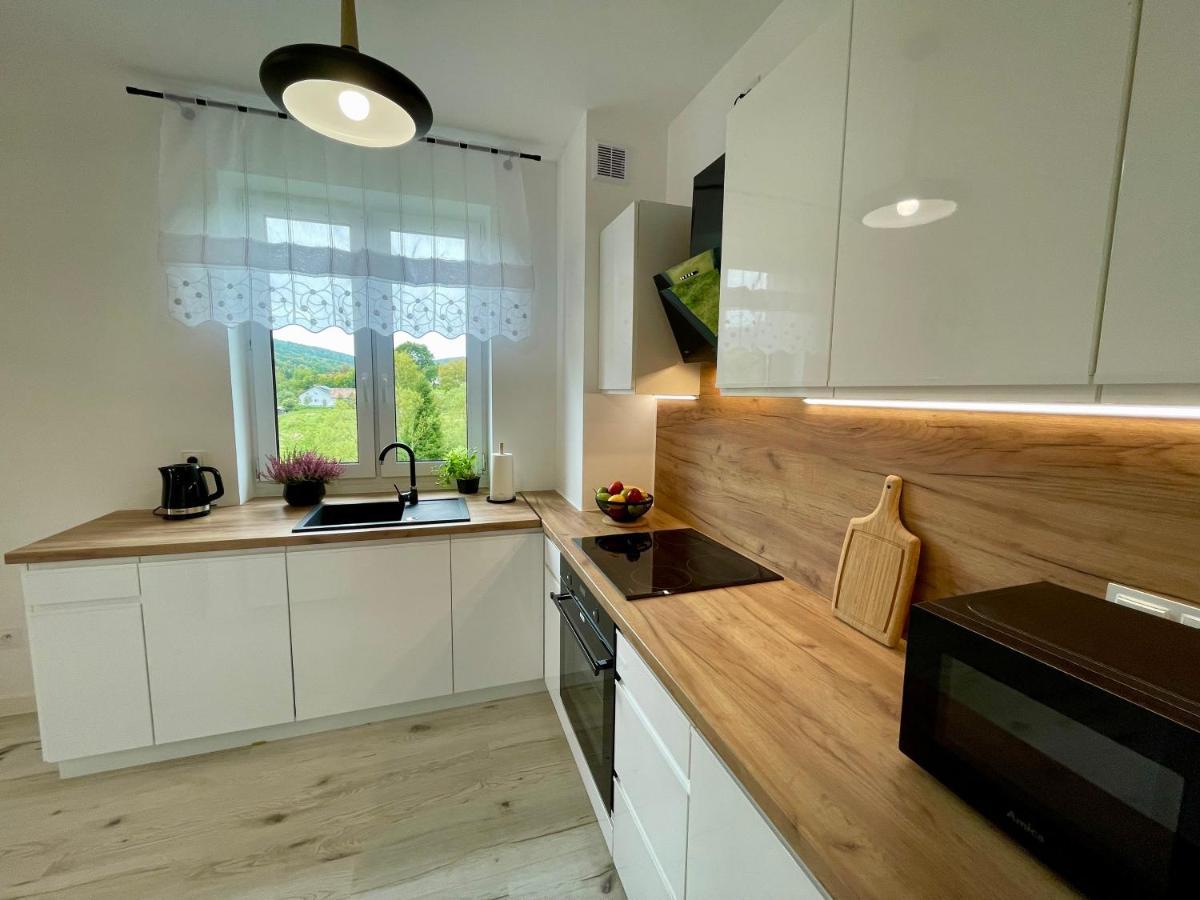 Apartament Jak Marzenie ウストシキ・ドルネ エクステリア 写真